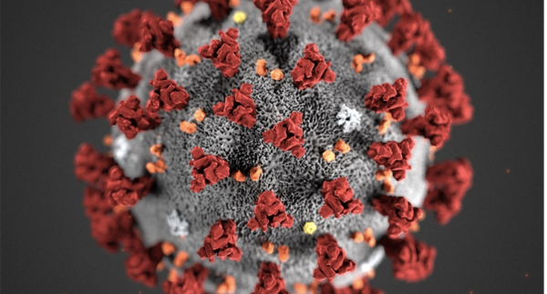 To nye smitte tilfelle av koronavirus