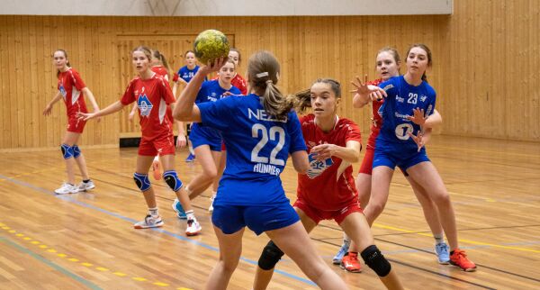 Ingen handballdommar? Ingen handballkamp!
