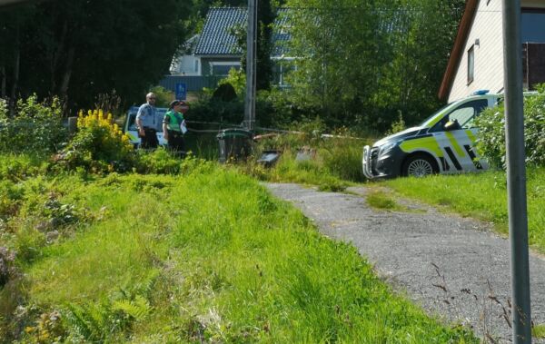 Skot skal vere avfyrt