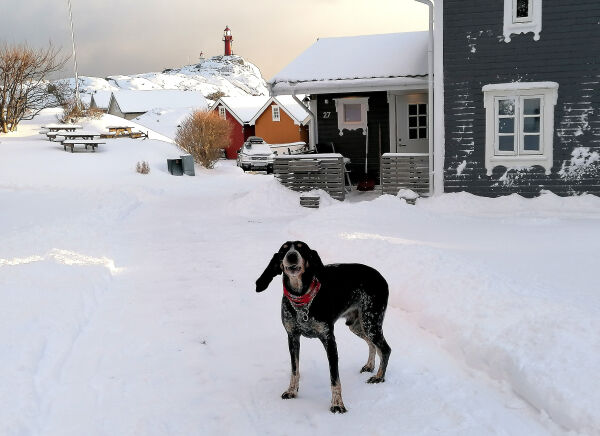 Her er det sjeldan så mykje snø