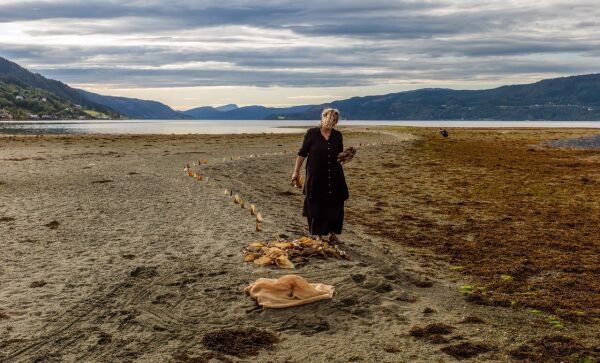 Internasjonale kunstnarar skal skape kunst på Nordøyane