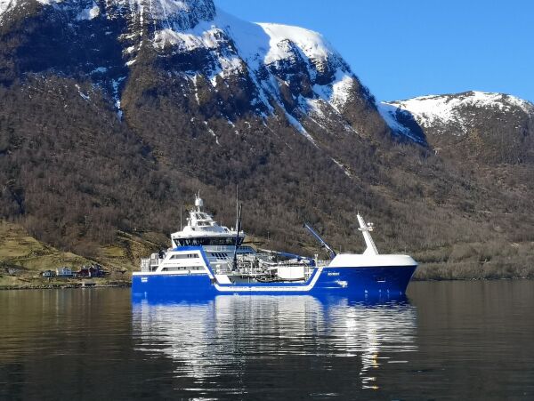 Harøyreiarlaget desidert størst
