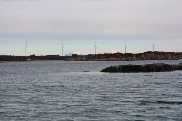 Vindturbinane må koplast på straumnettet før 2022