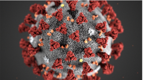 To nye smittetilfelle av koronavirus