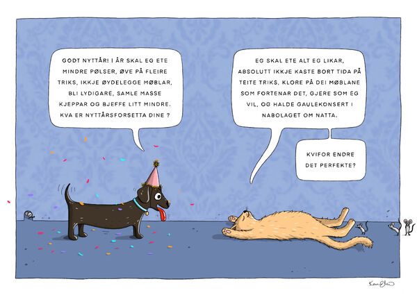 Alternative nyttårsforsett